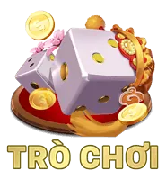 Hình ảnh sự kiện đặc biệt